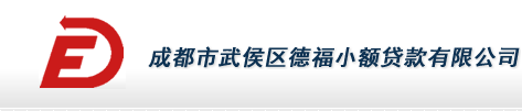 成都市武侯区德福小额贷款有限公司