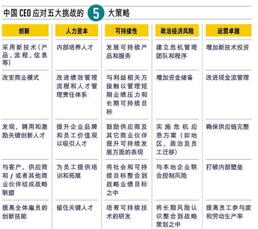 CEO们，在经济减速中掌控未来？