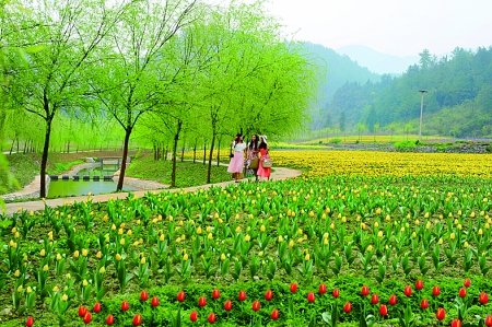 “印象春台”——郫县友爱镇春台村休闲农业和乡村旅游项目