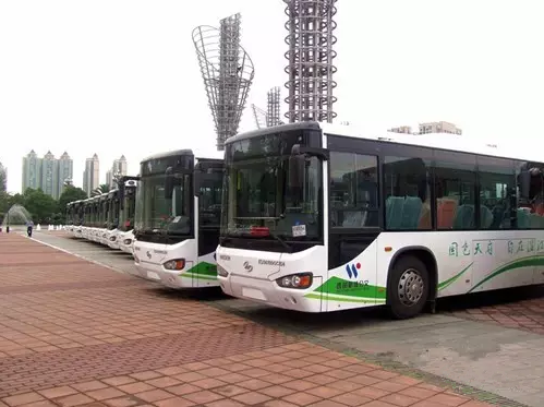 温江500米内有公交车坐，今年将新增5—8条线路！