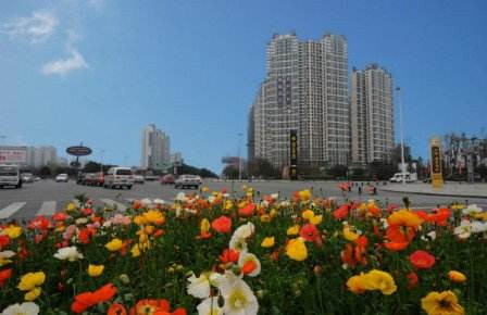 温江10大最美花园街景名单公示，快看你走过哪条街?