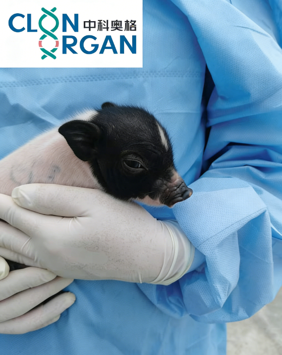 2025年度“中国科学十大进展”发布 成都高新区医药健康成果入选